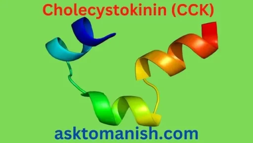 cholecystokinin hormone