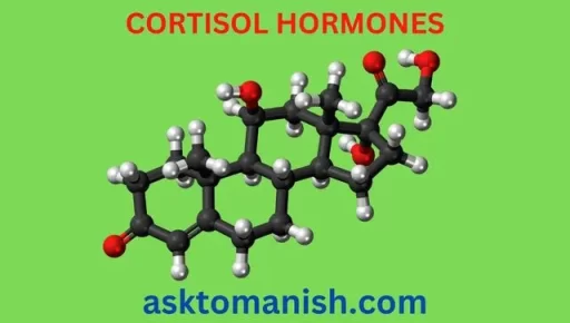 cortisol hormones