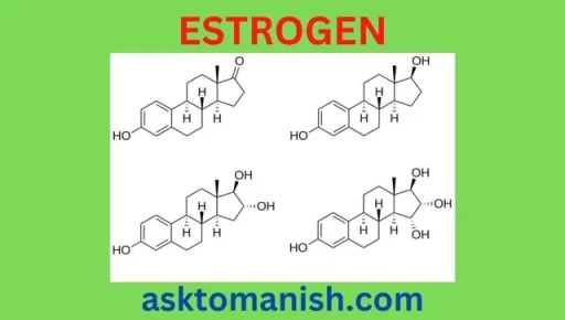 estrogen