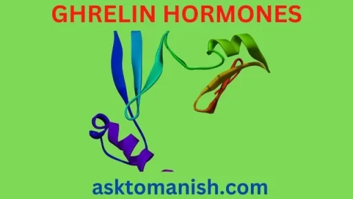 ghrelin hormones