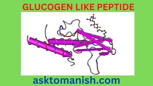 glucogen like peptide