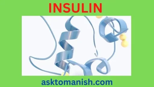 insulin hormones