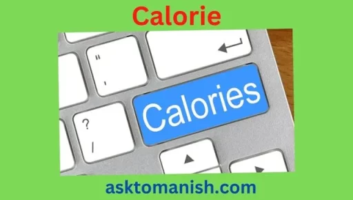 calorie needed in a day
