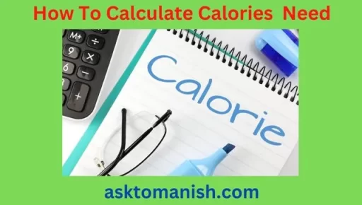 calories needed in a day